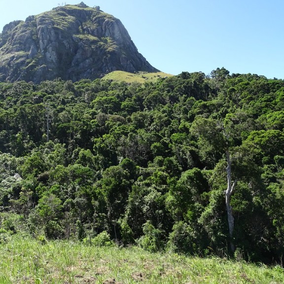 WaldfragmentcJulian Glos