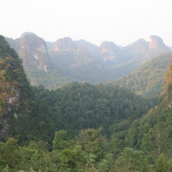 Habitat   Pham The Cuong 800px