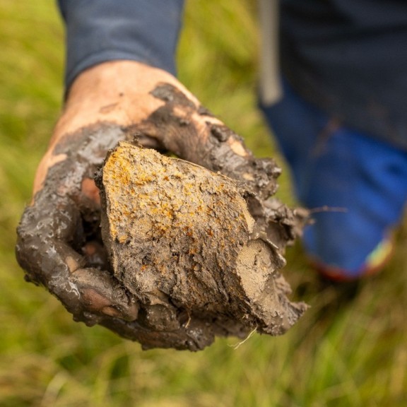 Wetland Health Assessment Giants Cup Wilderness March 2025 800px