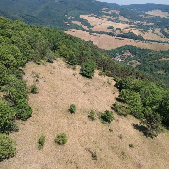 Bushcricket habitat c Jan Svetlik