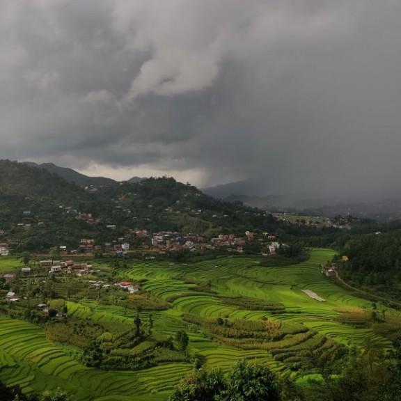 Forest patches in the midst of human dominated landscapecNischal Shrestha 800px