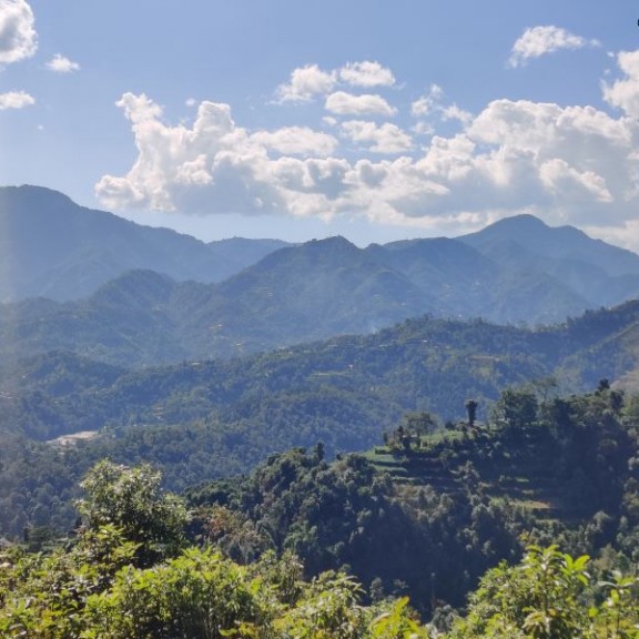 Forest patches of the districtcNischal Shrestha 800px