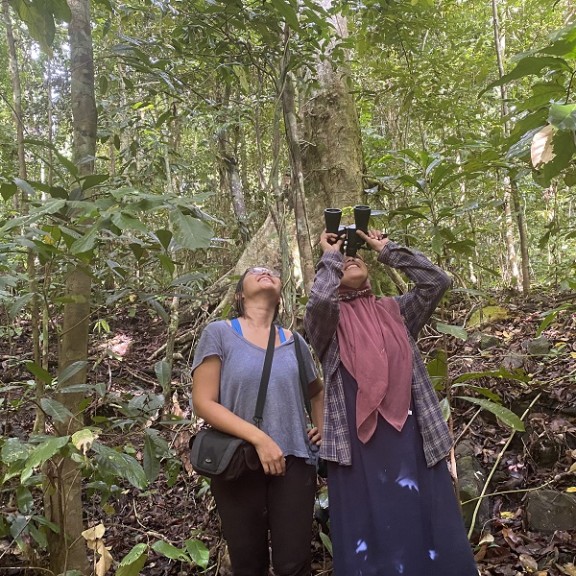 Conduct preliminary survey of the Talaud Cuscus 600px